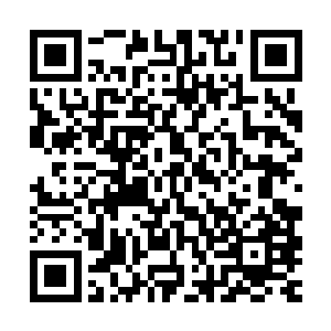 要是在十年内突破金丹期试练后就只轮到参加五十年一次的大比二维码生成
