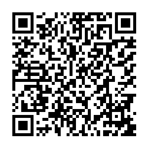 要是在魂血恢复正常之前自己再遇到什么生死危机颜洛儿铁定会直接无视二维码生成