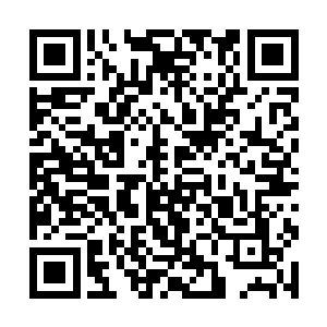 要是大家知道苏梅小姐改头换面甚至换了个名字出现二维码生成