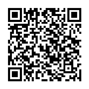 要是夫妻蠢一块儿把这东西当成没毒的东西给用了二维码生成