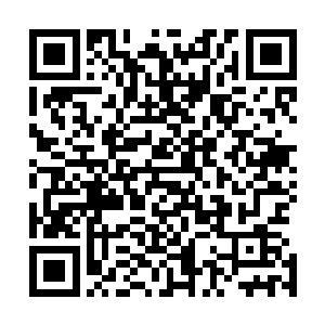 要是她现在直接告诉容觐外面的那个太监就是夏侯赢假扮的二维码生成