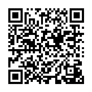 要是对付龙傲天的话那么就有可能给自己的势力带来麻烦二维码生成