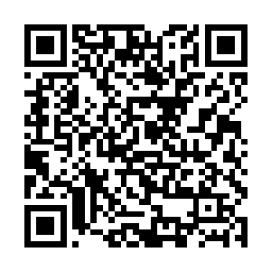 要是怕条子的话那还不如滚回家抱着老婆睡大觉算了二维码生成