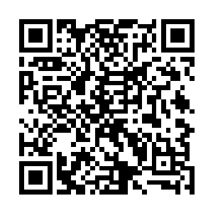 要是我今天能活着离开我一定要让你们盗贼工会血债血偿二维码生成