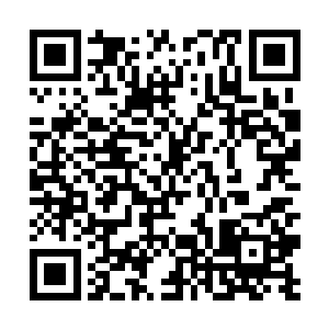 要是把阿母和阿父引过来就不好解释现在这种状况了二维码生成