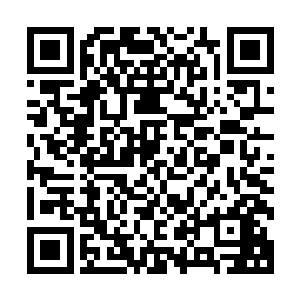 要是换成是其他地方其他人这样疯狂的吸收仙力提升修为境界二维码生成
