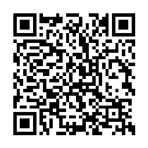 要是撼天门在熊飞霸登上国君之位后继续下黑手二维码生成