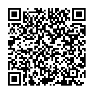 要是有人对凡尔纳说双刀假面其实是一头用高等变形术变成人类的巨龙二维码生成