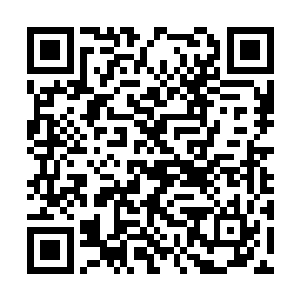 要是有朝一日雷天答应出售十足丹了就可以联系他二维码生成