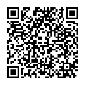 要是有雪狼张张嘴打个哈欠他脸色就变得比雪狼的皮毛还要白几分二维码生成