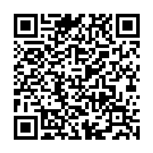 要是杂役弟子和外门弟子身上有紫薇宗的武学典籍二维码生成