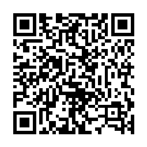 要是来一只妖兽恐怕虎神只要一声虎啸便会吓得它们狼狈而逃二维码生成