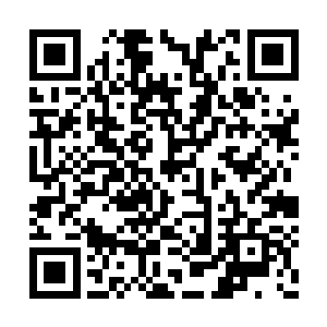要是此时他们亲眼看到天网公司的二大领袖人物二维码生成