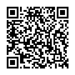 要是洛知兮听到苏叶的这个回答脸色一定会凝重二维码生成