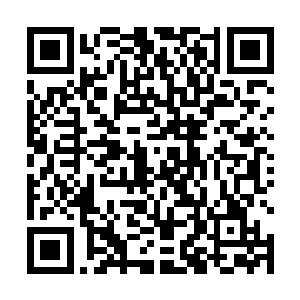 要是白逸阳交给我我的阵法真的能够对付皇级一下的鬼二维码生成
