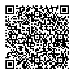 要是老祖宗当年像我一样有这么好的机遇的话恐怕我们龙家早就在几千年前就称为大陆第一家族了二维码生成