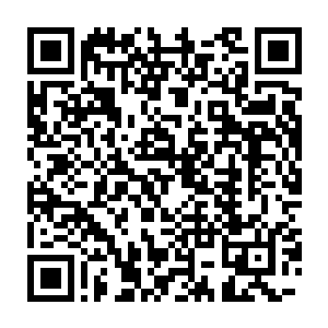 要是能被保罗踢个正着的话……那绝对会是一个鸡飞蛋打的恐怖效果二维码生成