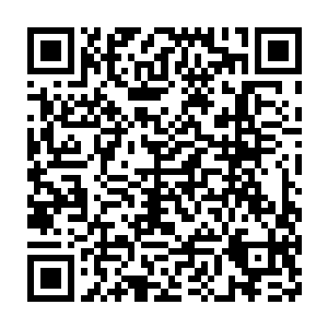 要是自己好不容易让小树上长出来的果子被阿甘那些家伙摘下来吃掉二维码生成