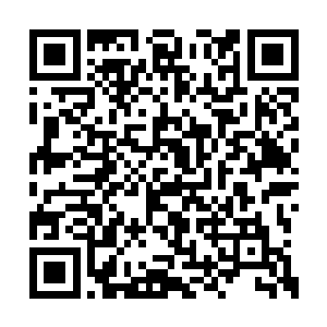 要是自己的面妹妹能委身于丁长生也不是件坏事二维码生成