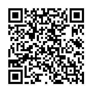 要是药用提炼后能引出蓝海深处几乎绝迹的七品雾魔鲨二维码生成