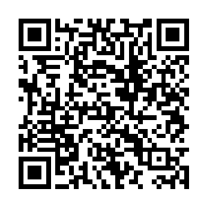 要是让他们随便几颗子弹打在了赵玲霜等人的身上二维码生成