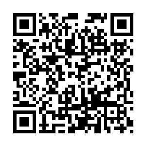 要是让叶尊知道秦舞阳背着他在后面帮他找女人二维码生成