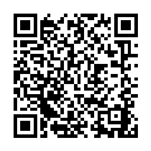 要是让我爸妈知道我和苏念白还是一个宿舍就更不得了了二维码生成