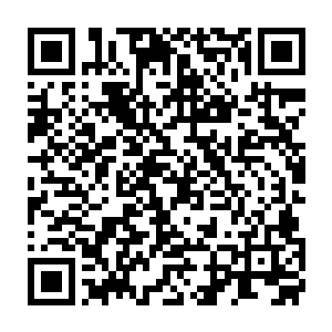 要是让熊家的族人知道一向刚强的熊星老祖竟然有一种想要流泪的感觉二维码生成