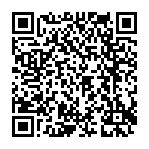 要是说让自己惊讶的就是这个白芷璃根本连一点点的斗气和灵力都没有二维码生成