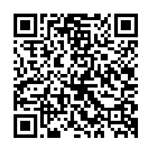 要是这两拳在自己等人没有任何防备的情况之下足以轰成肉饼二维码生成