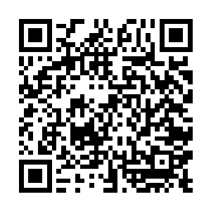 要是这个臭男人把所有的火气都移加到紫罗刹家族上二维码生成