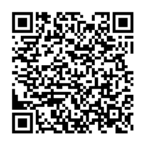 要是金童知道这是因为孙子轩同时抽取了他和玉女两位体内的仙力二维码生成