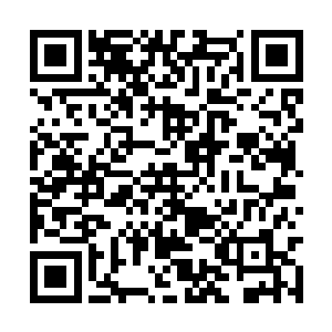 要是雷暴战车真的被这种怪物结结实实地来上一下二维码生成