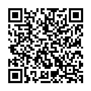 要是面前的这个米旭知道刚才给他沏茶的人是以毒功见长的话二维码生成