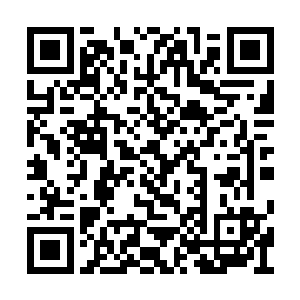 要是麻烦找上她……肯定比在外面时要麻烦的多二维码生成