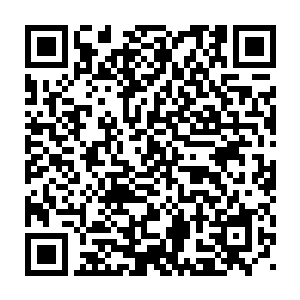 要是龙傲天使用速度的话山姆想要拿下龙傲天还真的要费一翻手脚二维码生成