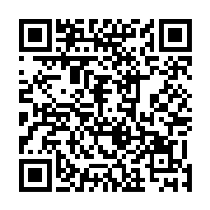 要是龙公子真的可以解决雅儿的问题的话我就答应龙公子二维码生成