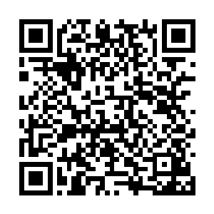 要是龙家遇到什么危机的话还可以临时向龙岛求援二维码生成