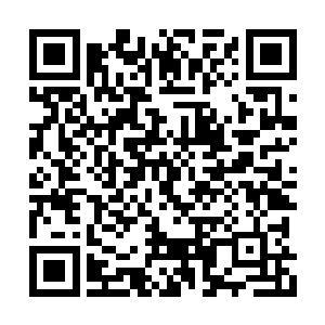 要歼灭的部落既没有海洋女神等真神在后面庇护二维码生成