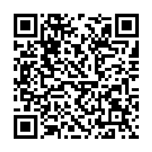 要比喻的话……觉哥就好比是在大坝上打洞的蚂蚁二维码生成