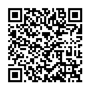 要比天罗秘境已经开启的那几层修炼洞府都要好二维码生成