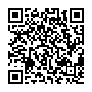 要求所有人员务必于今天晚上赶到市里的万程大酒店参加宴会二维码生成