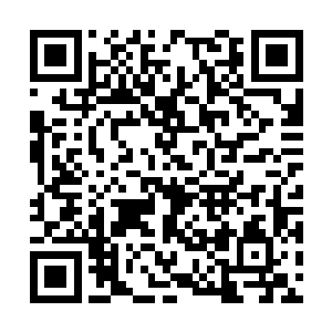 要求调动一批即将毕业的学生进入第一集团军履职二维码生成