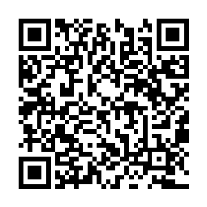 要派遣一架只是短程运送一下伤员一点问题都没有二维码生成