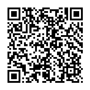 要知道一个人类的正常寿命就算是到了上位神也不会超过五千岁的二维码生成