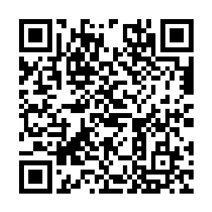 要知道一些强大的仙器都是可以隔绝天劫的气息的二维码生成