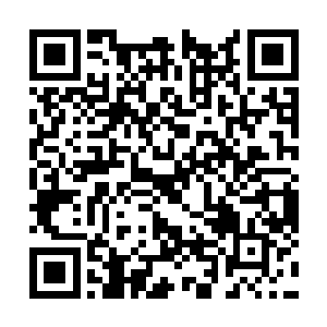 要知道一号展厅可是可以同时容纳1千人的大展厅二维码生成