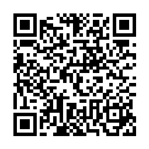 要知道一桌这样的酒菜消耗也要有十枚仙石左右二维码生成