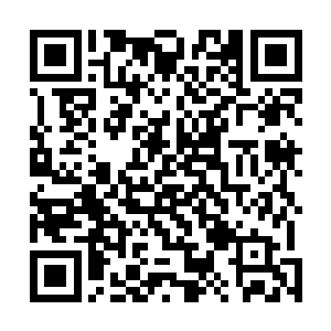 要知道东黎墨为了能够确定死亡森林里面有铁翼龙的存在二维码生成