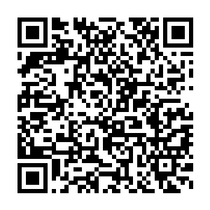 要知道之前的时候杨戬可是将自己的元神直接提升到了地仙顶峰的水平二维码生成